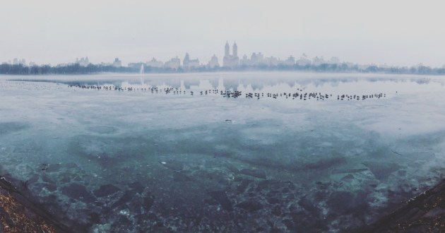 2nd Place – Panorama: Frozen Central Park by Burcu Ozturk, United States
“On a cold February day walking in the city, I saw fog over Central Park. It felt like a frozen moment, almost a daydream. I knew it was the perfect time to use my iPhone’s panorama feature.”
Location: Central Park, New York City. Shot on iPhone 7
