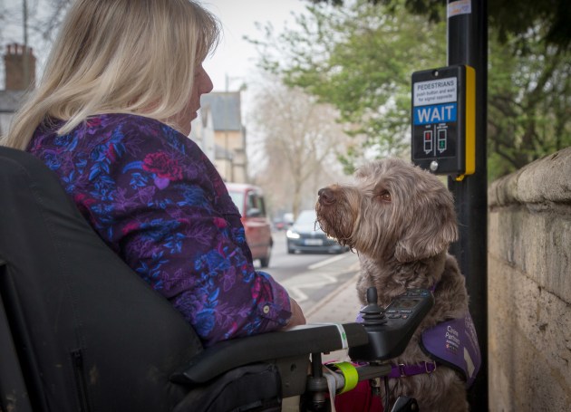 Assistance Dogs Charity Category 3rd Place Winner, Melissa Bastin, UK