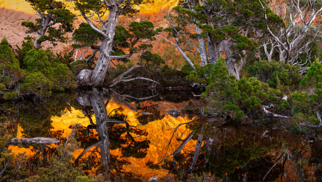 Daniel Sallai, 4th, Landscape category, The Landscape Awards 2025.