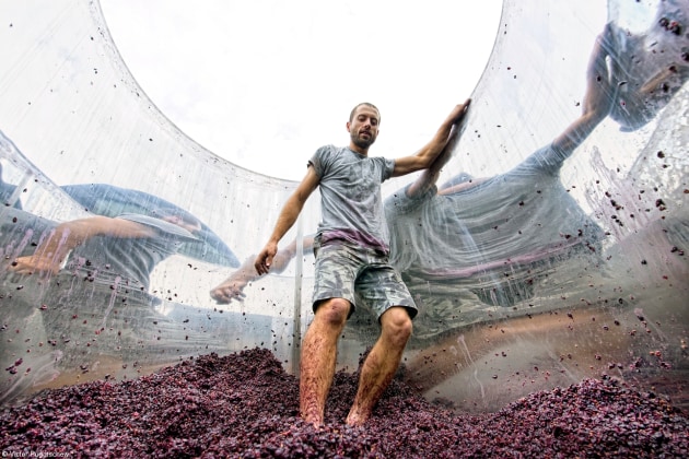 Errazuriz Wine Photographer of the Year - People, Victor Pugatschew,	Australia. 'Pressing the pinot noir' .Pushing the pinot out of the tank at Hoddles Creek vineyard.