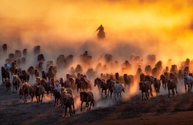 © Tien Sang Kok, Malaysia, Winner, National Awards, 2020 Sony World Photography Awards