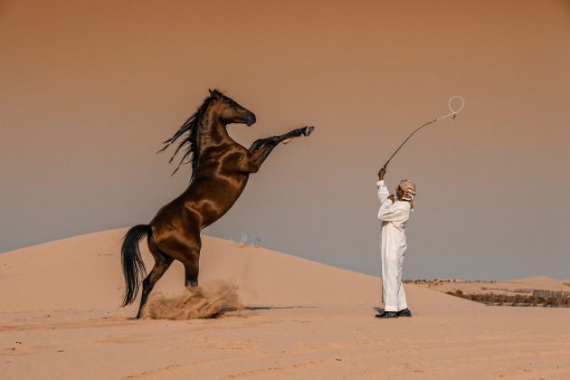 © Abbas Alkhamis, Saudi Arabia, Winner, National Awards, 2020 Sony World Photography Awards