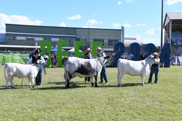 Source: Beef Australia