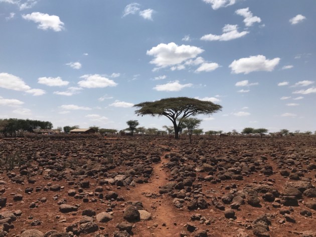 2nd Place – Trees: Church Tree by Brian Grasso, United States
“This photo was taken near Amboseli National Park in southern Kenya, in an area where Kenya’s famous Maasai tribe lives. On the left side of the tree, a small house is present, fenced in by a wall of assembled acacia branches.”
Location: Maasailand in southern Kenya. Shot on iPhone 7