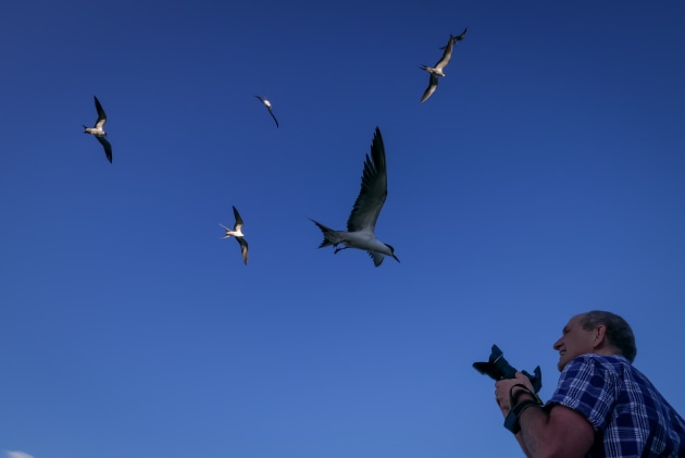 Theme: Photo for the wall - Kathryn Smalley, Kogarah NSW
