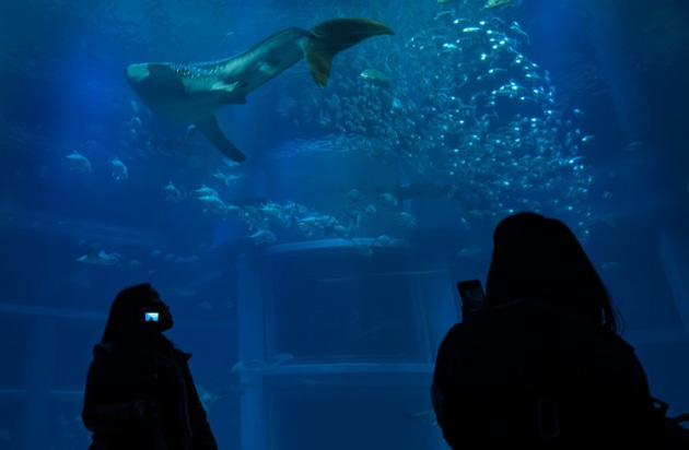 Osaka Aquarium.