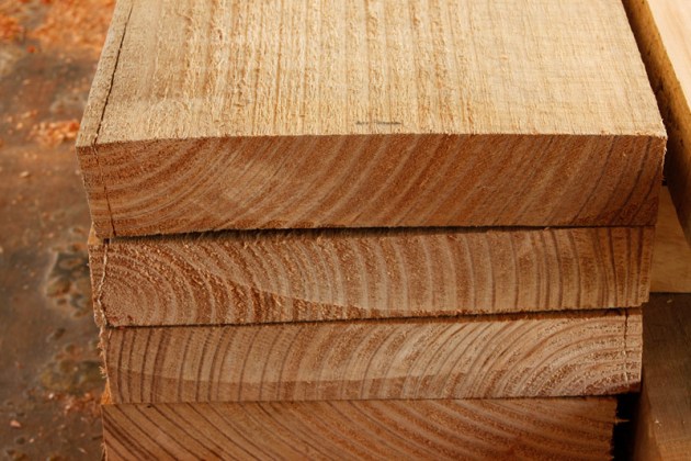 Acacia-dealbata-endgrain.jpg