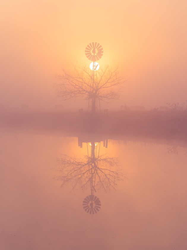 'The Glow' by Silvia Li.