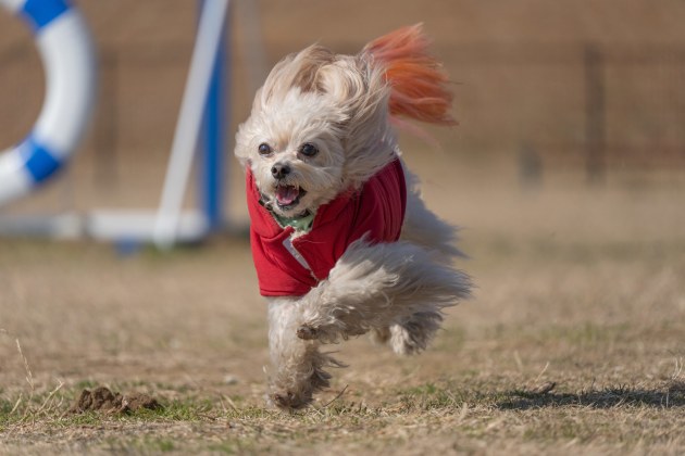 Image: Tomizo Sakaida/Tamron