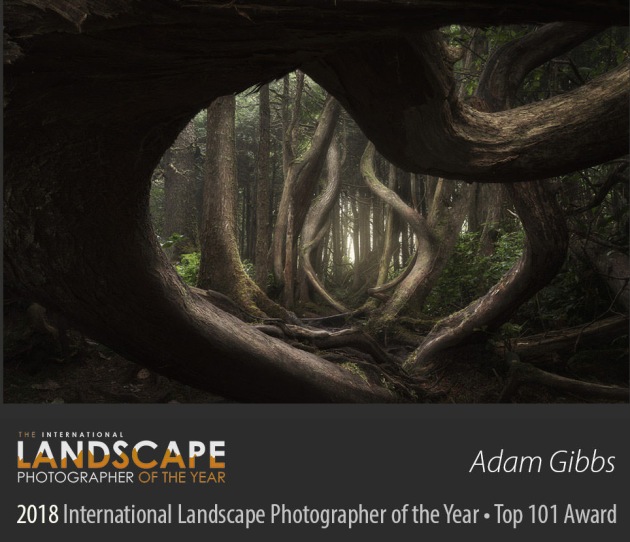 © Adam Gibbs/The International Landscape Photographer of the Year
