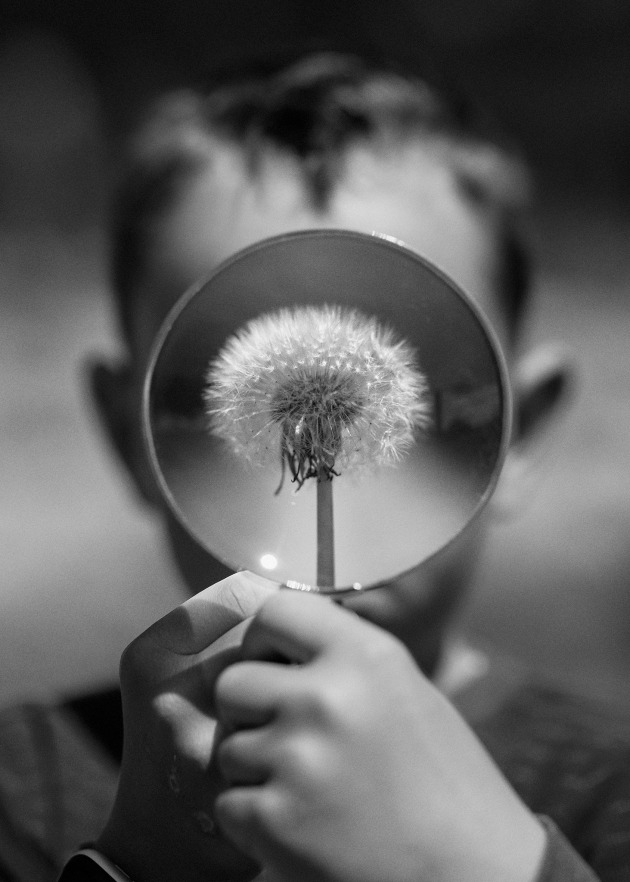 © Alla Kuyunzhi - 'Eared Dandelion' - Judge's Choice Winner