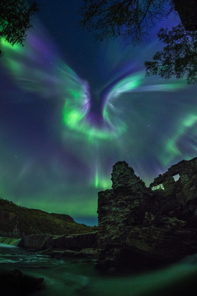 Aurora is a bird © Alexander Stepanenko (Russia). Nikon D850 camera, 12 mm f/2.8 lens, ISO 1600, 4-second exposure.