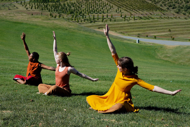 Australian Dance Party Hillscape (Credit: Olivia Wikner)