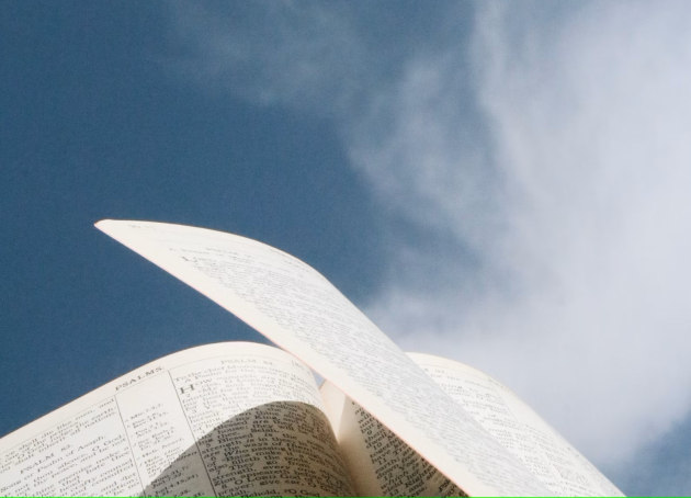 Sky high prices: Bibles in the US