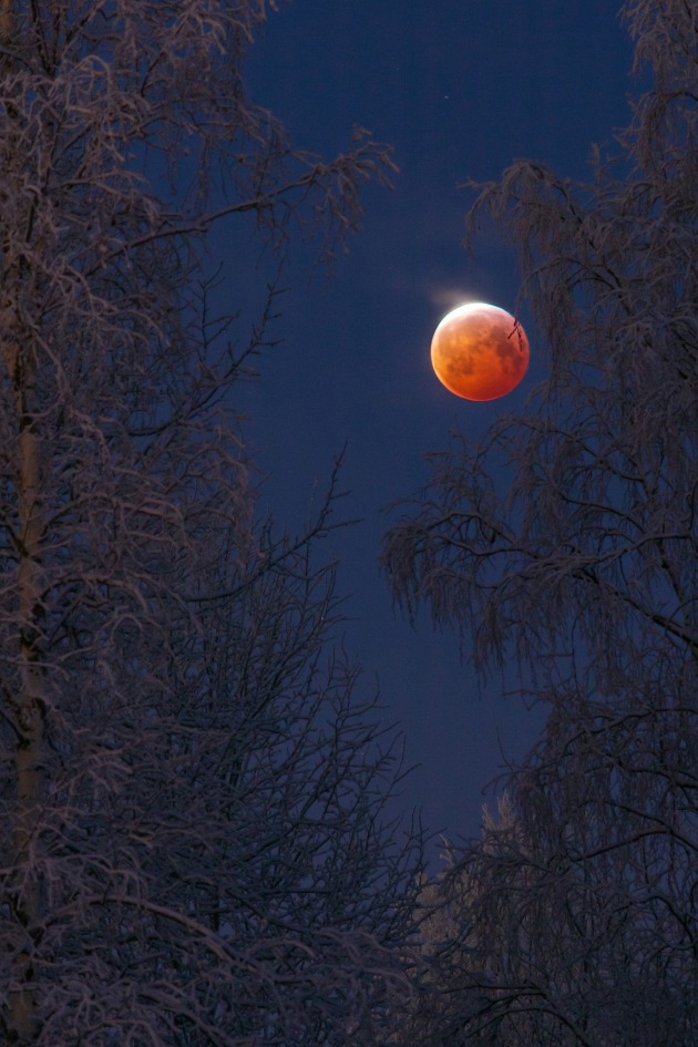 Bloodborne © Keijo Laitala (Finland). Olympus OM-D E-M5 camera, 150 mm f/7.1 lens, ISO 400, 4-second exposure.