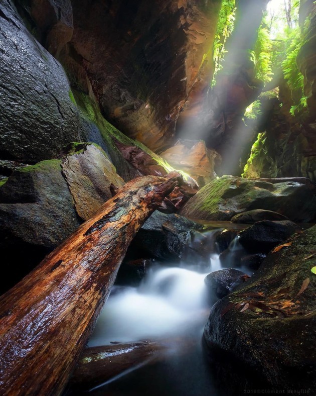 Rocky Creek Canyon