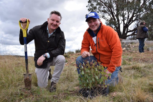 Sustainable business: Chris Bowen and Aleks Lajovic at the tree planting