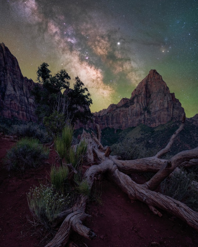 © Brandt Ryder - “The watchman” 
Zion National Park, Utah – USA
Utah’s dark skies are a mecca for astrophotographers from around the world. Zion National Park is one of the premier locations and, for as long as I can remember, nightscapes from this park have captured my imagination. When I finally traveled to Zion, I knew I wanted to capture something unique, something different from the traditional shot, but one that still featured the iconic and austere “Watchman.”
I had seen some photos from a closer angle and after some exploring, I came across this twisted skeleton of an old juniper framing “The Watchman.” As a photographer, I am always looking for interesting foreground subjects. Foregrounds that have features that can in some way recapitulate or accentuate the background are rare but always the most compelling. When I noticed how the angles of the tree matched the peak near perfectly, I knew I had found something special.