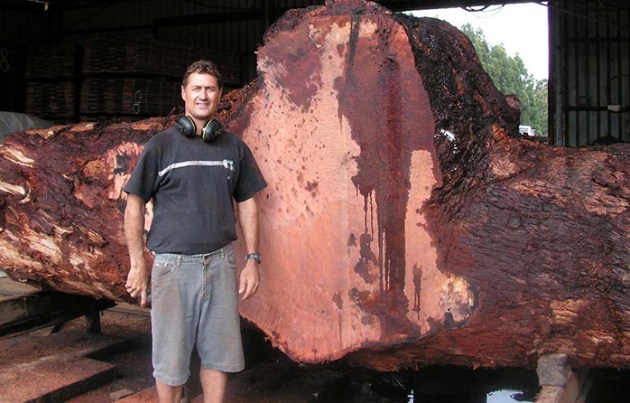 burl-wood.jpg