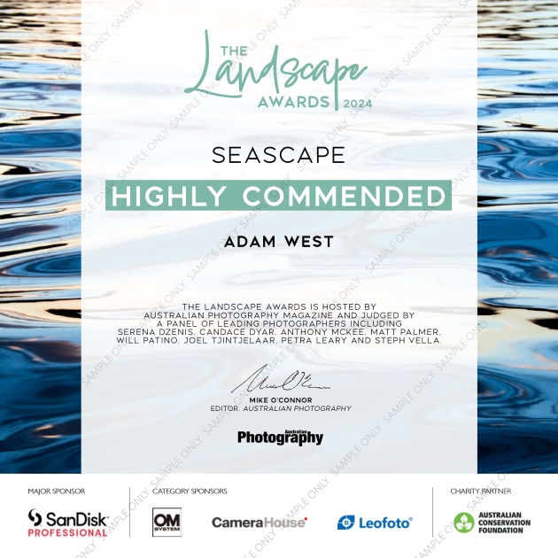 landscape-awards-dummy-certificate-2021.jpg