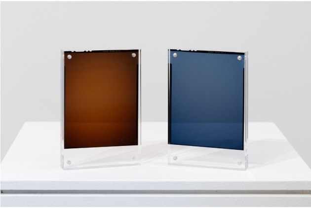 A close up of part of Sun Kissed #1, #2, #3, #4, 2023 by Chris Bowes.