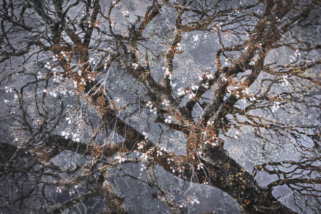 Image: Joy Kachina/supplied