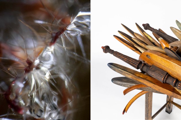 craft-act-exhibitions.jpg