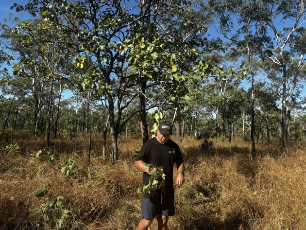Adelaide-based Creative Native Foods has secured one of the season&rsquo;s final Kakadu Plum hauls through Larrakia harvester, Shannon Motlop, extending a supply chain built on direct relationships with Indigenous harvesters working on Country.