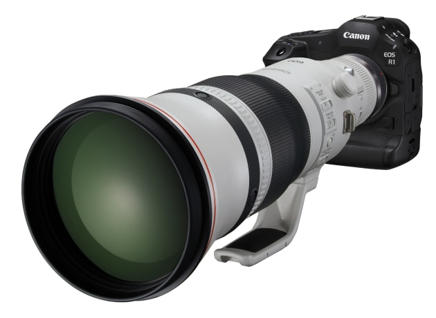 EOS R1 with RF600mm f4L IS USM