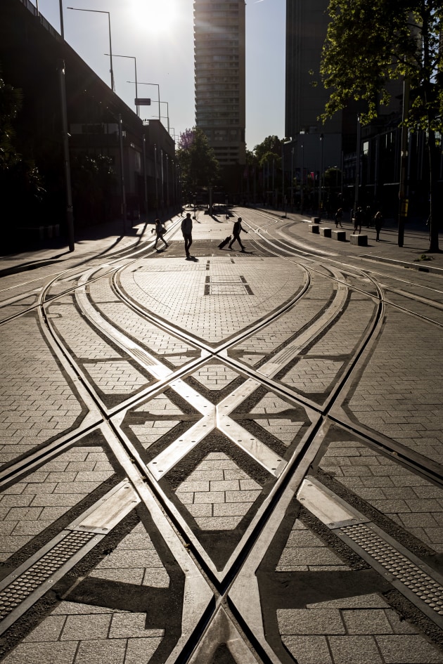 © Eduardo Martinez - Crossed Paths - Open Category finalist