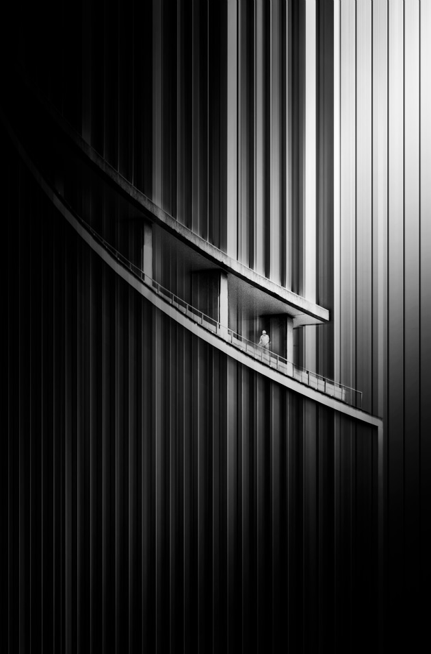 Curtainwall by Timothy Moon