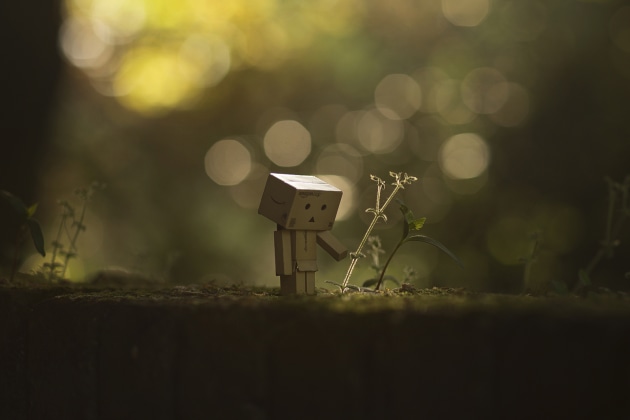 © John Liot. From the project, Danbo 365.