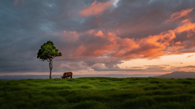 Darren Wassell, Sunset with the locals