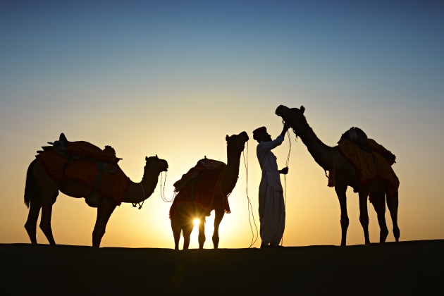 Camel Silhouettes. In this photo of camels and camel man in the desert of India, I was careful to position the low setting sun behind the middle camel to make that area brightest against the black camel silhouette. When the sun came down lower,
I framed it under the camel, and also set the aperture to f/22 in order to get
a sunburst effect for extra visual interest. Nikon D800, 24-85mm f/2.8-4 lens @ 32mm. 1/250s @ f22, ISO 800.