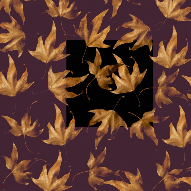 This image was made by putting a camera on a tripod (facing downwards) above a piece of black velvet and then photographing a couple of leaves numerous times in different positions. The lighting was a simple overhead light in my office. I then processed and opened the images in Photoshop and then used the 