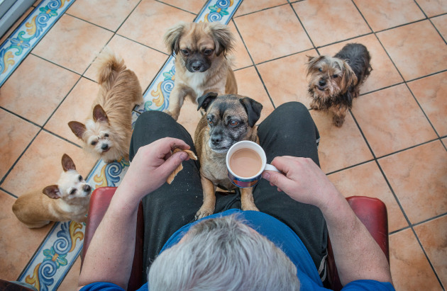 Special Mention Man’s Best Friend category, Caz Harris, UK