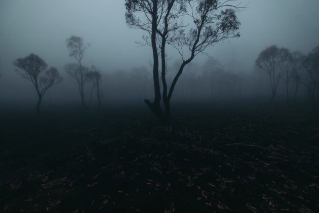 © Drew Hopper - Burnt landscape after the Black Summer bushfires. Cathedral Rock National Park, NSW Australia. Fujifilm X-T2, Fujifilm 23mm f/2 @ 23mm. 1/640s @ f4, ISO 200.