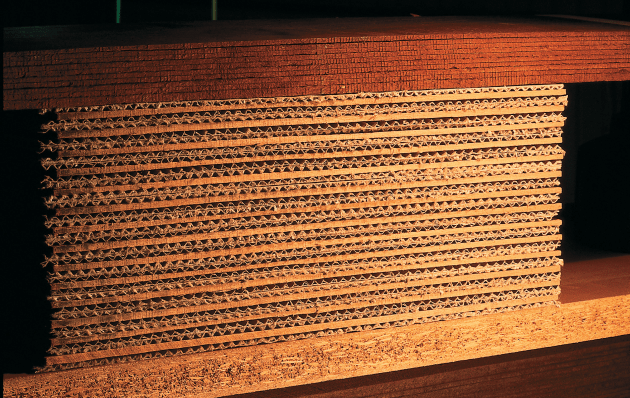 dryhandcutveneers-1.jpg