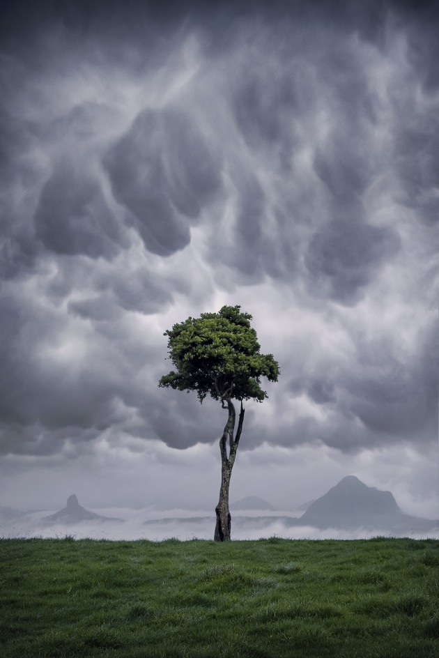 One Tree Hill, Sunshine Coast, Qld. This was an easy image to capture. A simple composition framed following the rule of thirds. Nikon D810, 16-35mm f/4 lens @ 31mm, 1/30s @ f/14, ISO 400