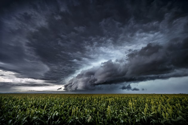 Dalby, Qld. For most people Christmas and Boxing Day are all about family. Not so much for storm chasers. This was one of the biggest supercells I’ve seen, bringing hail that destroyed a few of my fellow chasers’ cars. I was the last one standing at the end of the day and my car resembled the surface of the moon, but it was worth it. Nikon D850, 14-24mm f/2.8 @ 16mm, 1/10s @ f/7.1, ISO 640.