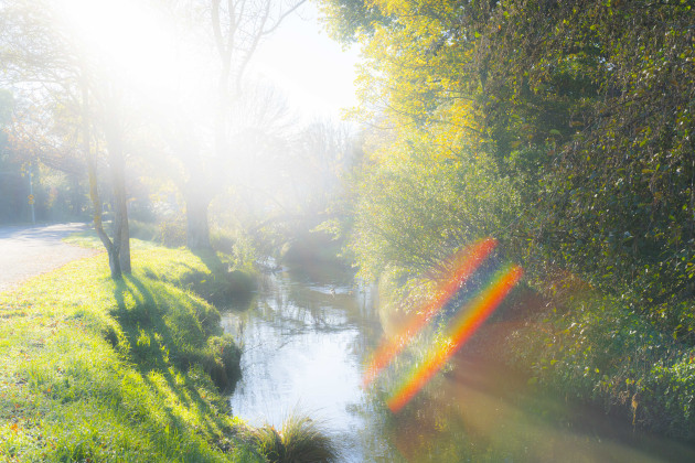 I did find the lens struggled with flare when shooting directly into the sun at times.