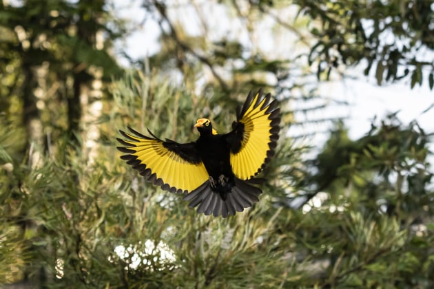 Image: Mike O'Connor