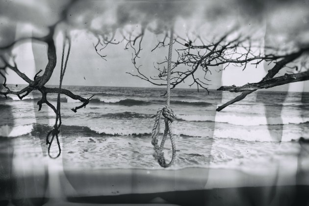Image: Steve Thomas