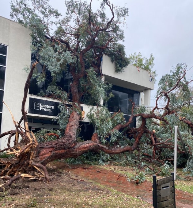 Storm damage: Eastern Press back up and running