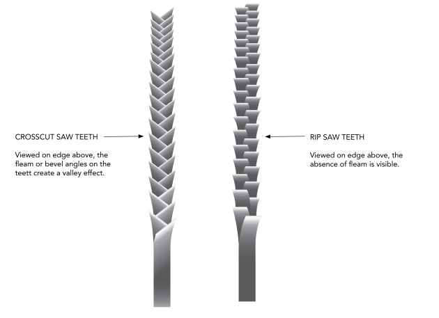 edge-view-teeth-diagram.jpg