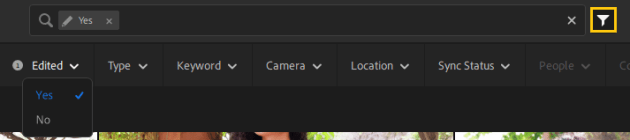 In Lightoom for desktop, in any view, you can now click the Filter icon next to the Search bar, and view the filtering options such as Edited, Type, Keyword, and more. The Edited option is new where you can filter photos based on whether they were edited or not.