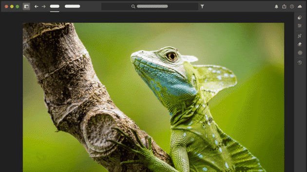 Image: Adobe/supplied