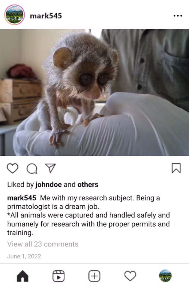A mock Instagram post with a caption stating that the person shown is a trained researcher working with the loris under official rules. Many viewers in a study said the post nonetheless made them want to handle a loris themselves. Smitha Gnanaolivu/Wildlife Rescue and Rehabilitation Bangalore, CC BY-ND