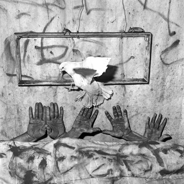 © Roger Ballen. Five Hands, 2006.