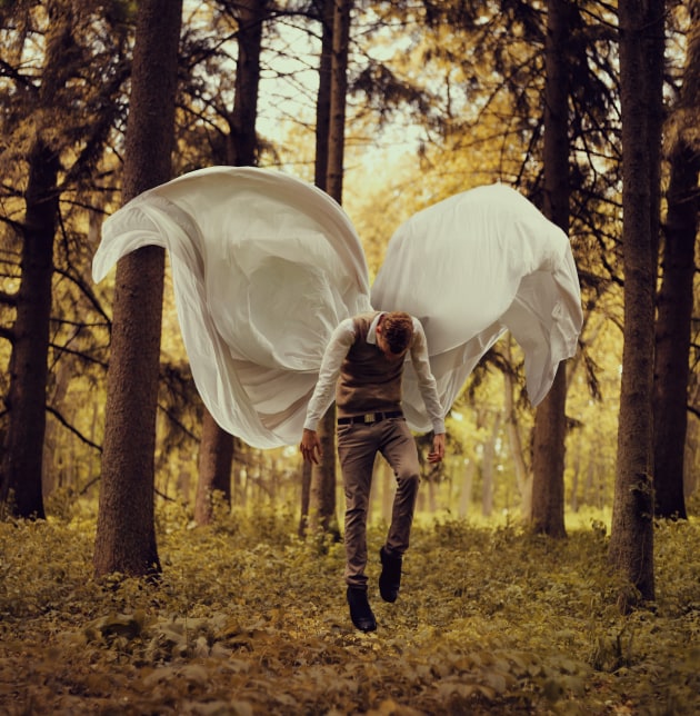 © Kyle Thompson. Frail Wings.